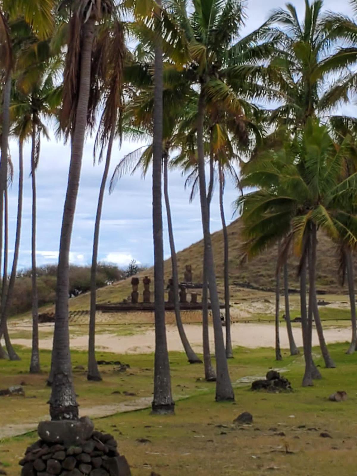 Villa Maori Tea Rapa Nui, Easter Island With Ocean View Hanga Roa Exterior photo